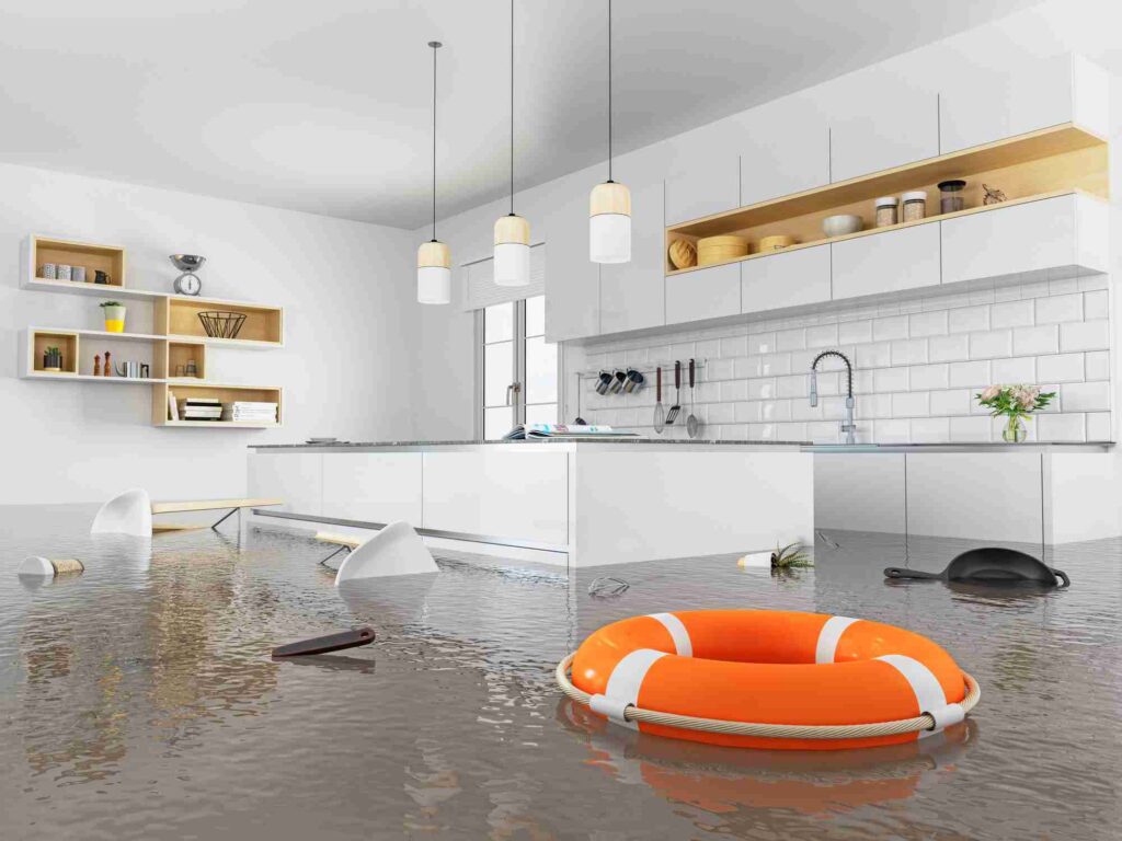 Flooded Basement Cleanup in Jericho NY: Protect Your Home, Health & Peace of Mind