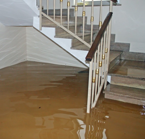 Emergency sewage removal in Jericho NY