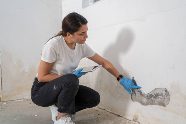 2026 Expert Insights on Residential Reconstruction in Nassau County
