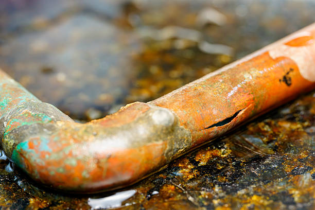 Choosing the Right Restoration Partner for Burst Pipe Repair in New York County