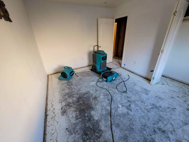 Emergency Water Damage Restoration in Nassau County: Call or Handle It?