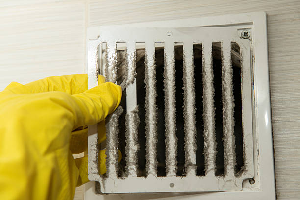 Why Air Duct Cleaning in Kings County