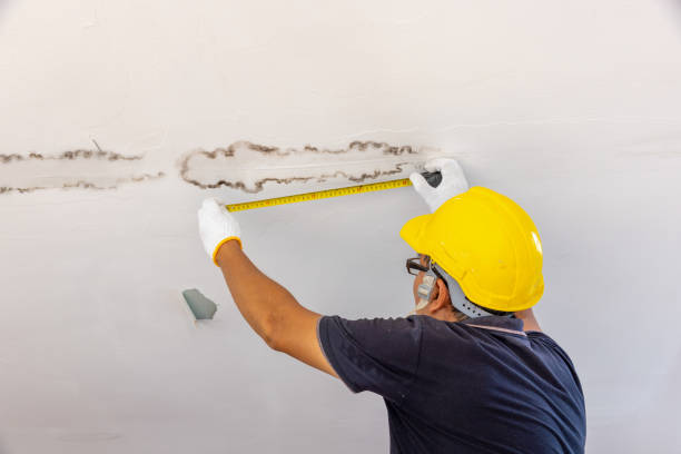 Mold Inspection in Nassau County: What Happens, What to Watch For and What to Do Next