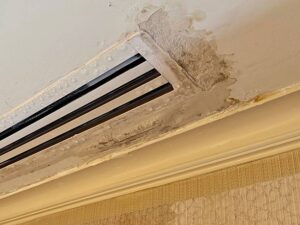 Mold Inspection in Nassau County: Protect Your Home