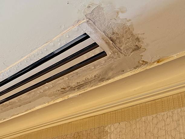Mold Inspection in Nassau County: Protect Your Home