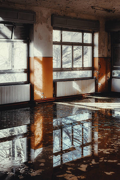 When a Mold Inspection in Nassau County Includes Testing