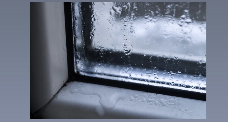 Rain and storms are the most common causes of water damage