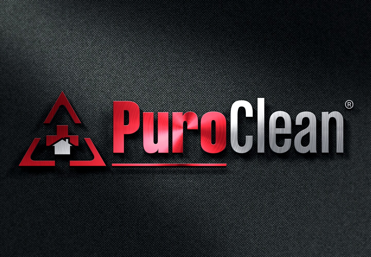 The Hidden Dangers of Black Mold and How to Protect Your Home