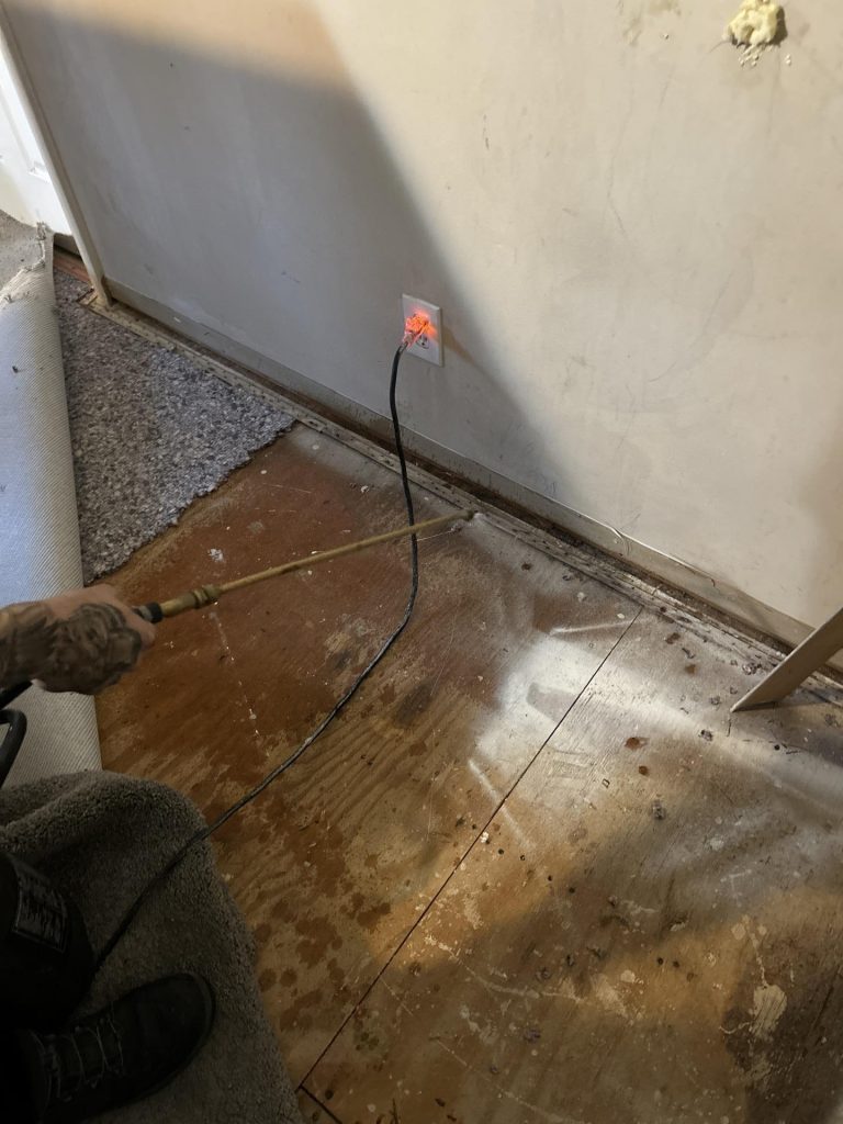 mold remediation in Hoboken, New Jersey 