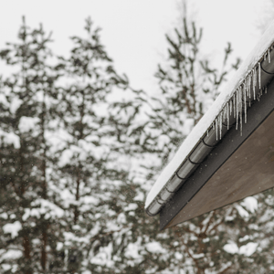 Icicles hang from a snow-covered roof gutter with blurred evergreen trees in the background