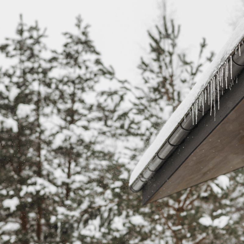 Icicles hang from a snow-covered roof gutter with blurred evergreen trees in the background