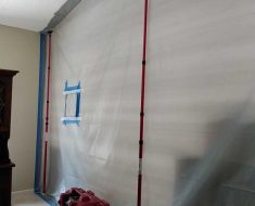 Mold Removal PuroClean Jupiter