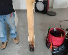 Mold Removal PuroClean Jupiter