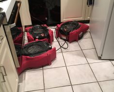 Water Damage Restoration PuroClean Jupiter