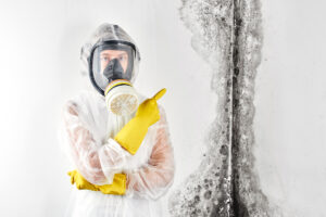 professional technician in hazmat gear, pointing at mold in the garage