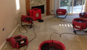 Property Restoration Process