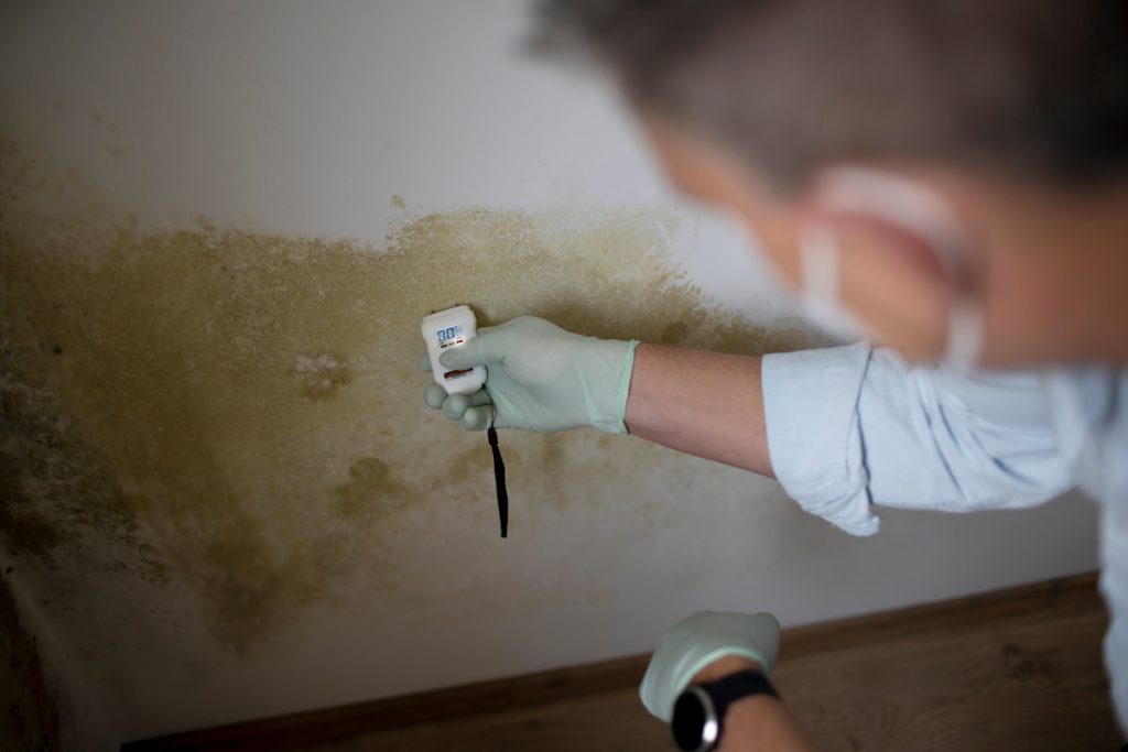 mold after water damage