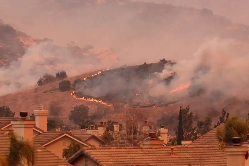 smoke odor removal