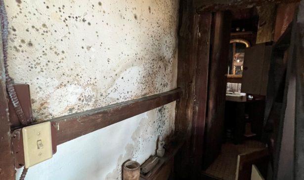 New York Mold Law Article 32