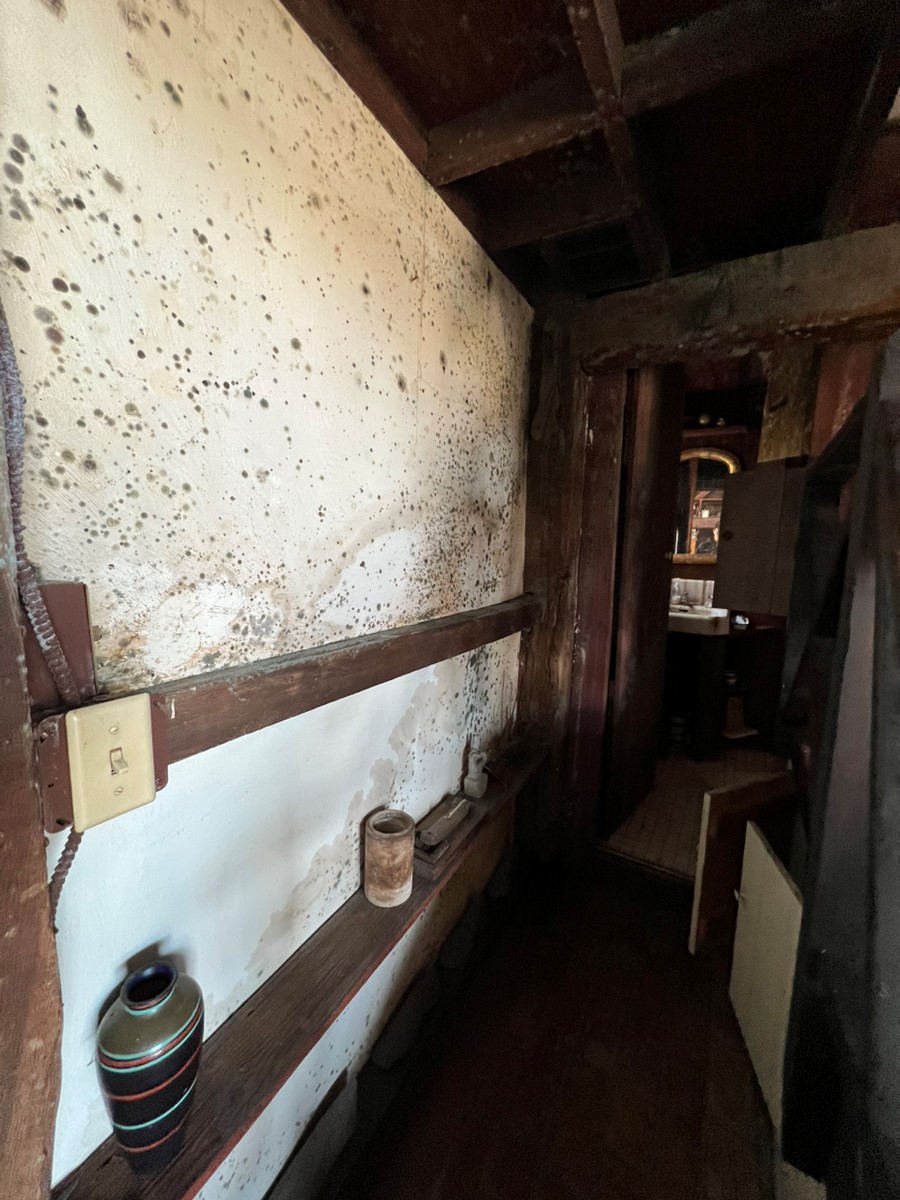 New York Mold Law Article 32