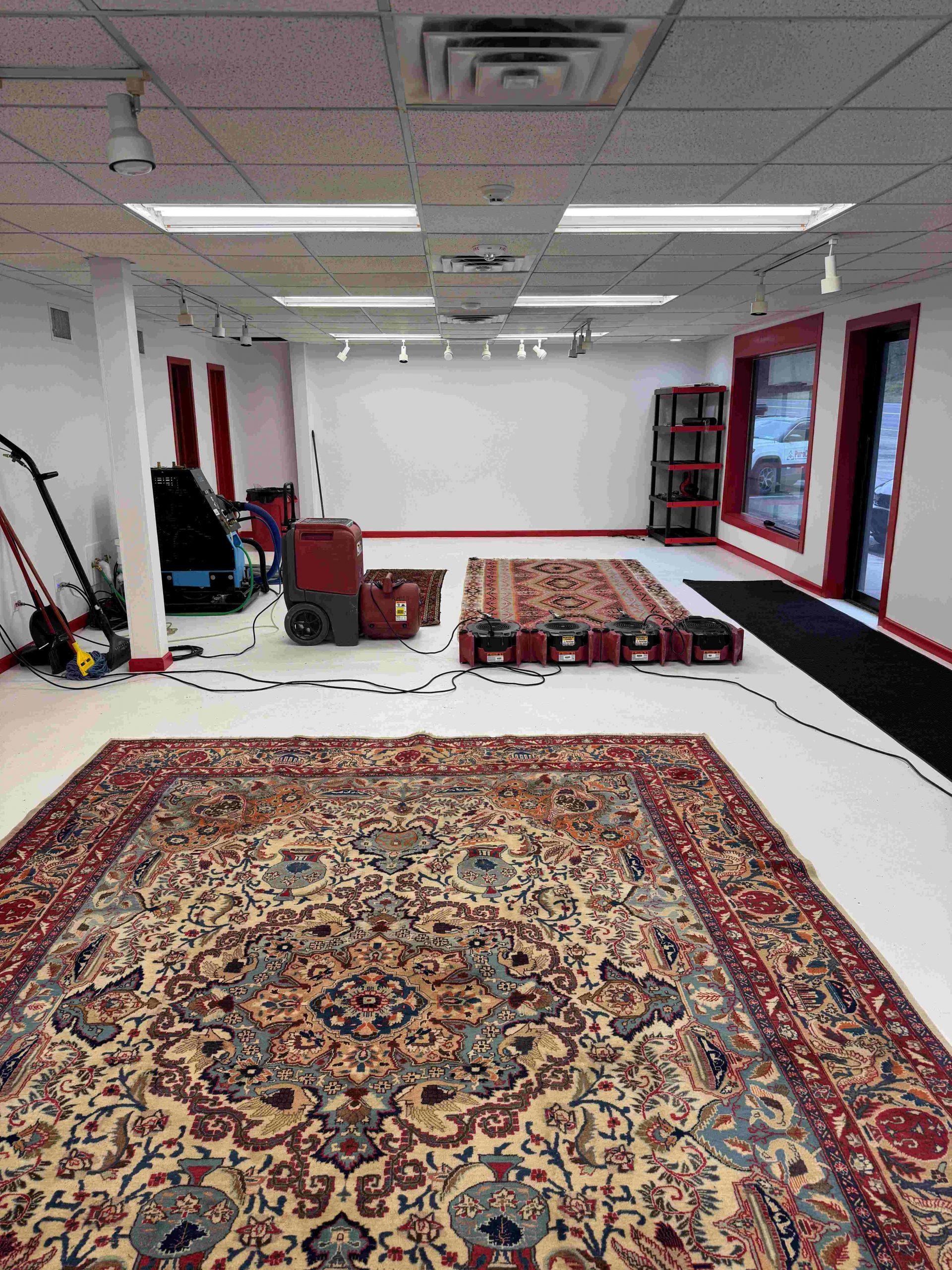 Expert Area Rug Cleaning in Kingston NY