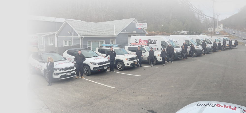 Why Choose PuroClean Property Restoration in [metro_area]