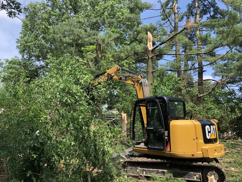 excavating trees