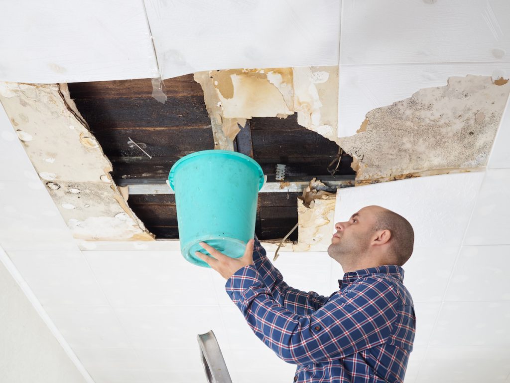 water damage restoration in Flora