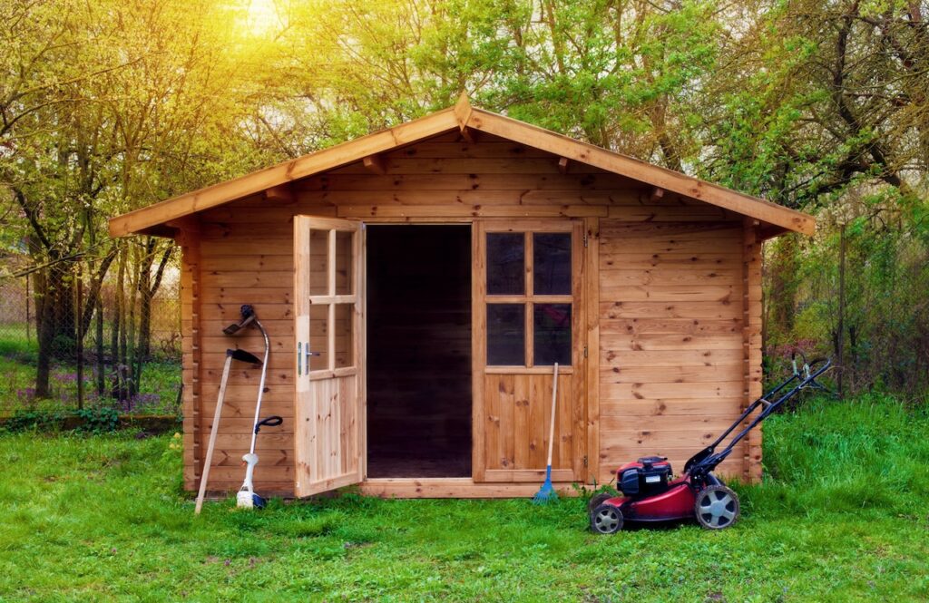 how to remove mold from shed