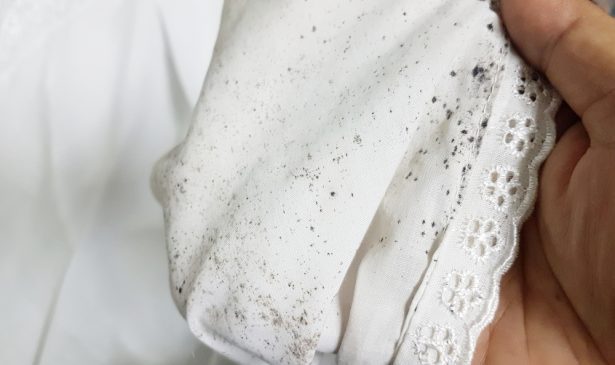 Have Mold Stains? How to Effectively Remove them From Clothes and Fabric in 6 Basic Steps