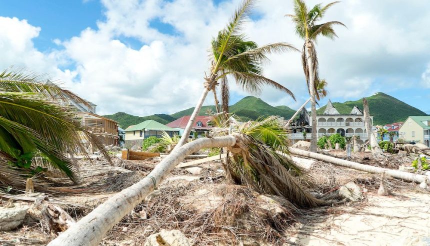 The aftermath of hurricane season