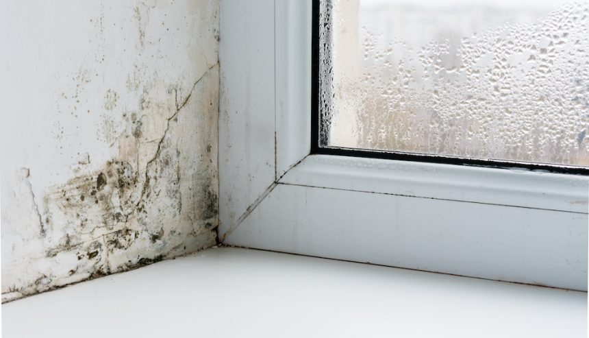 Mold on the wall next to a window