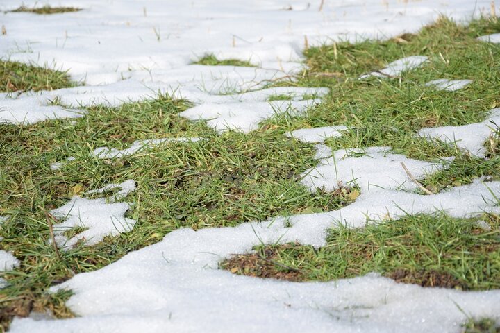 Spring thaw on grass
