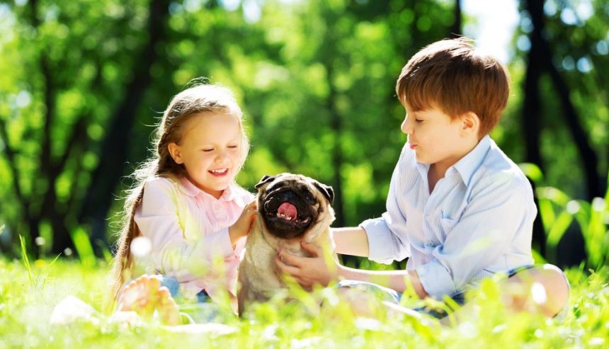 Two young children playing with a dog outside