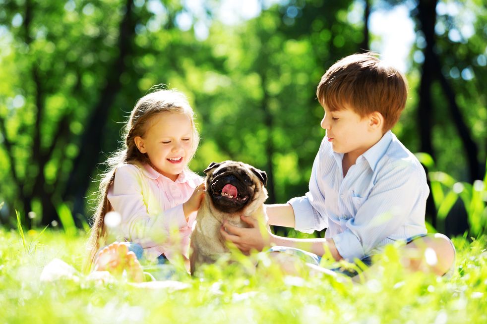 Ready, Set, Sunshine: Summer Preparation Tips to Get You Ready for Warmer Weather