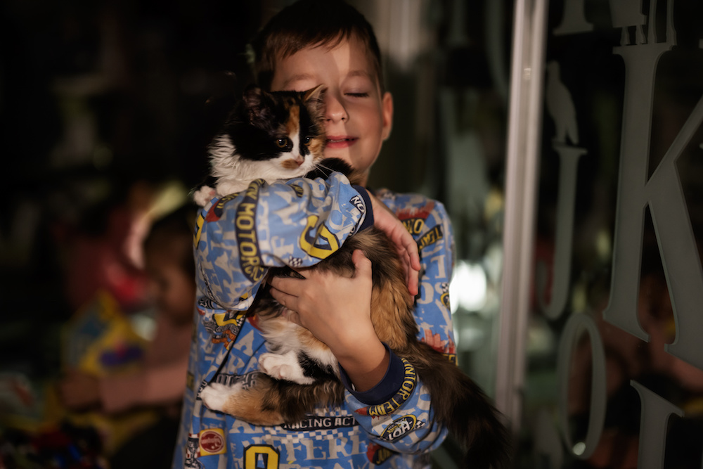 A boy hugs a cat wrapped in a blanket. The lights are out, implying a blackout.