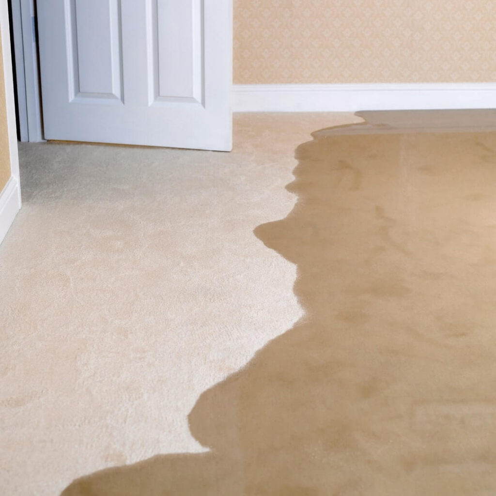 Water Damage Restoration A Necessary Response