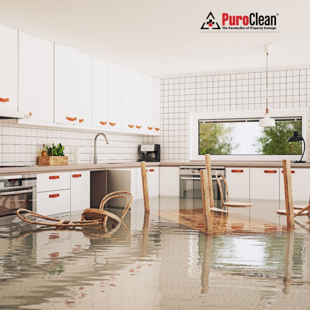 flood in the home, trusted water damage restration