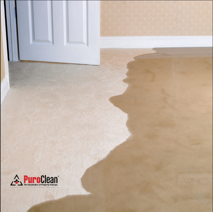 flooded basement cleanup