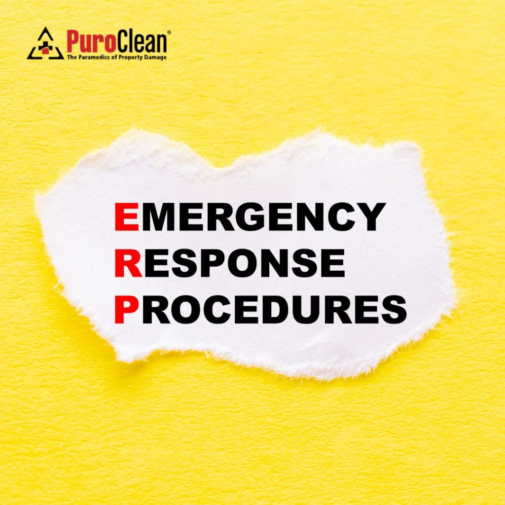 Emergency Response: What to Do Before Help Arrives After a Fire or Flood in Lawrenceville, GA