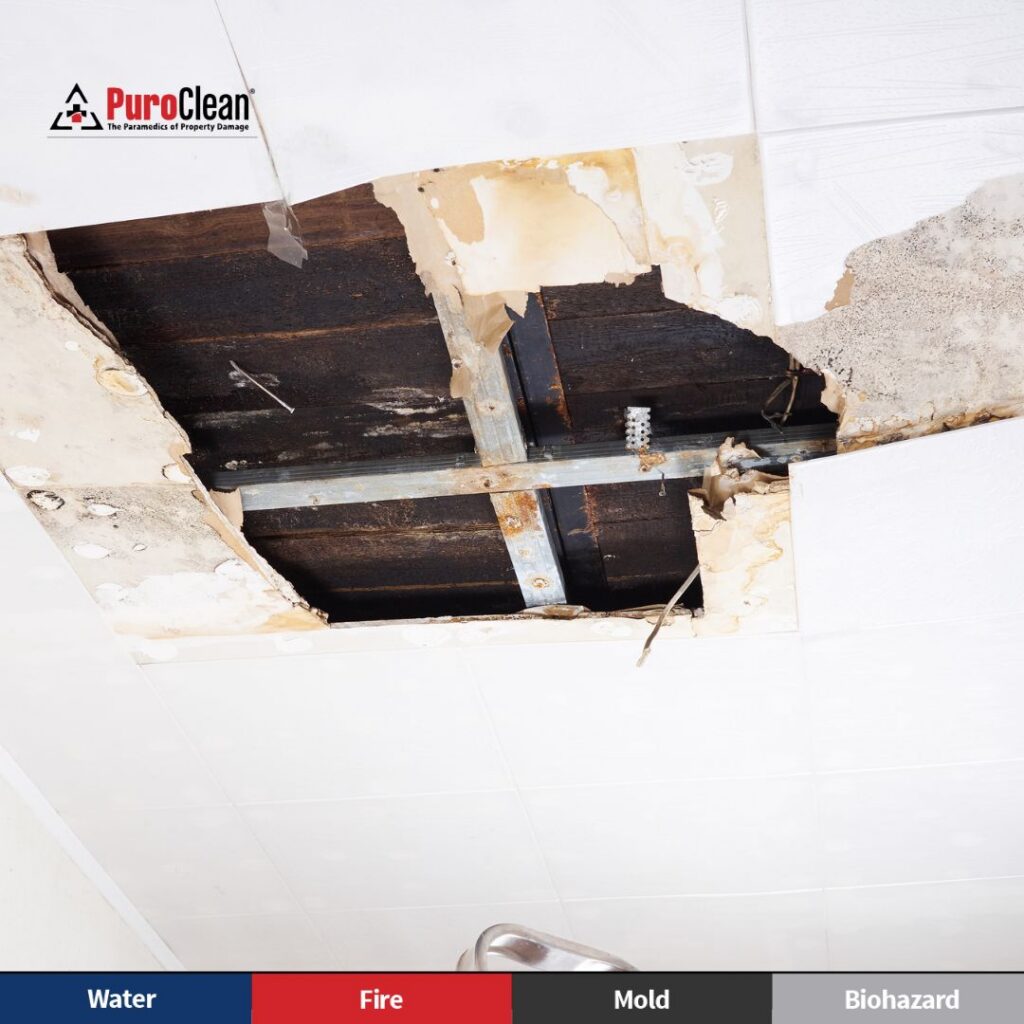 winter water damage