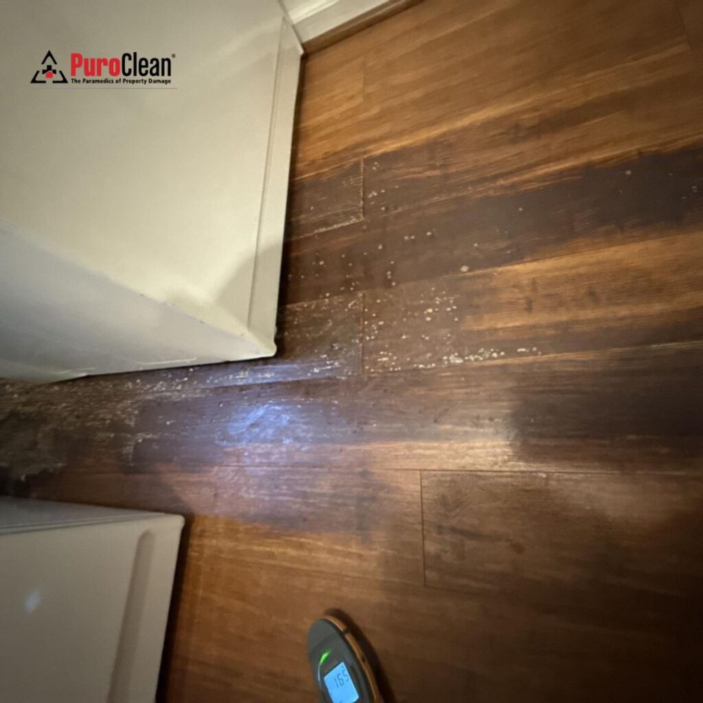 Hidden Water Damage & Basement Flooding in Lithonia