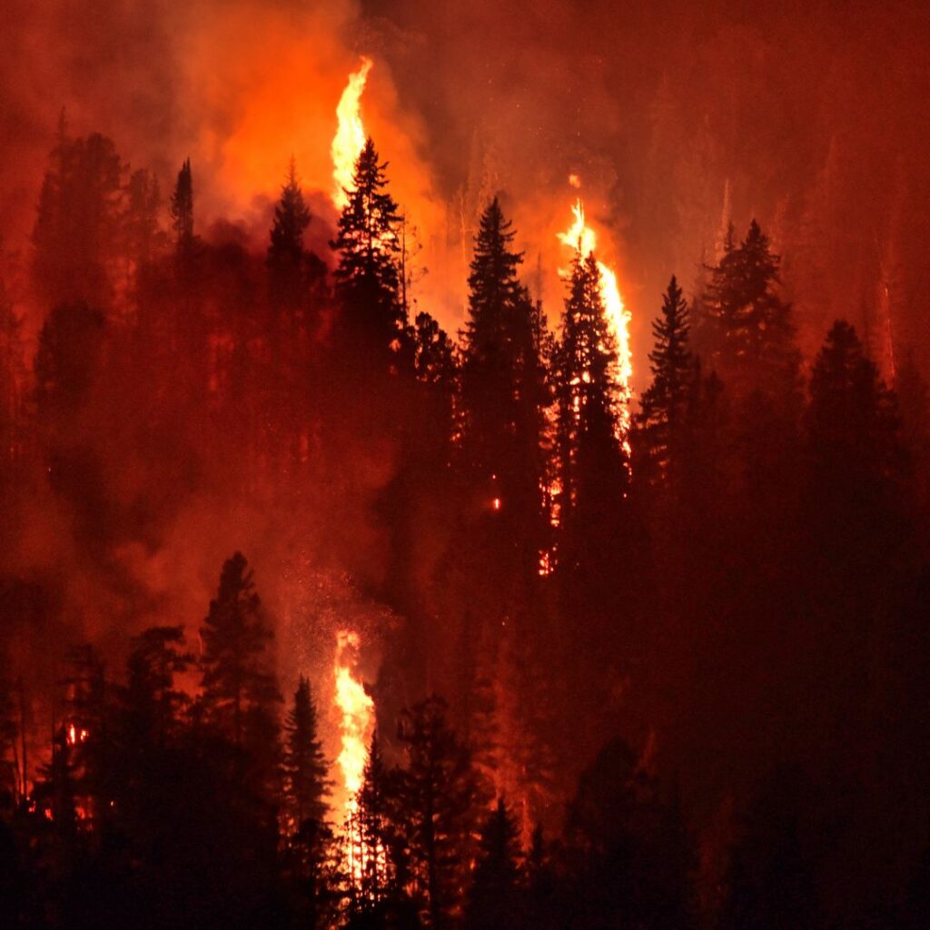 wildfire and wildfire readiness in loganville