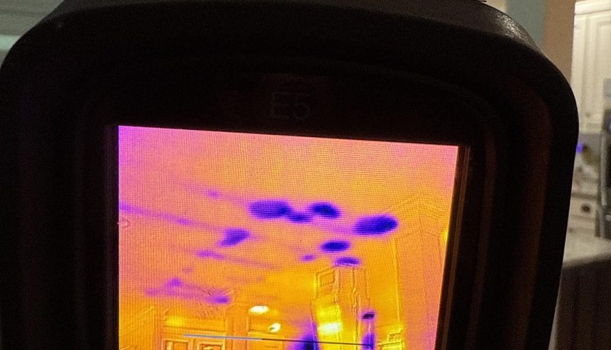 Moisture Meter in use