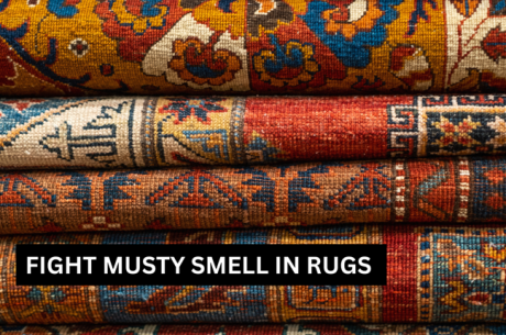 DIY vs. Professional Solutions for Musty Smelling Rugs in Georgia Homes