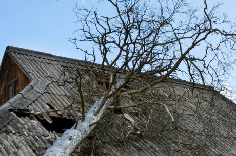 How to Prevent Water Damage in Your Home This Fall in Lawrenceville, GA. Fall Safety Tips