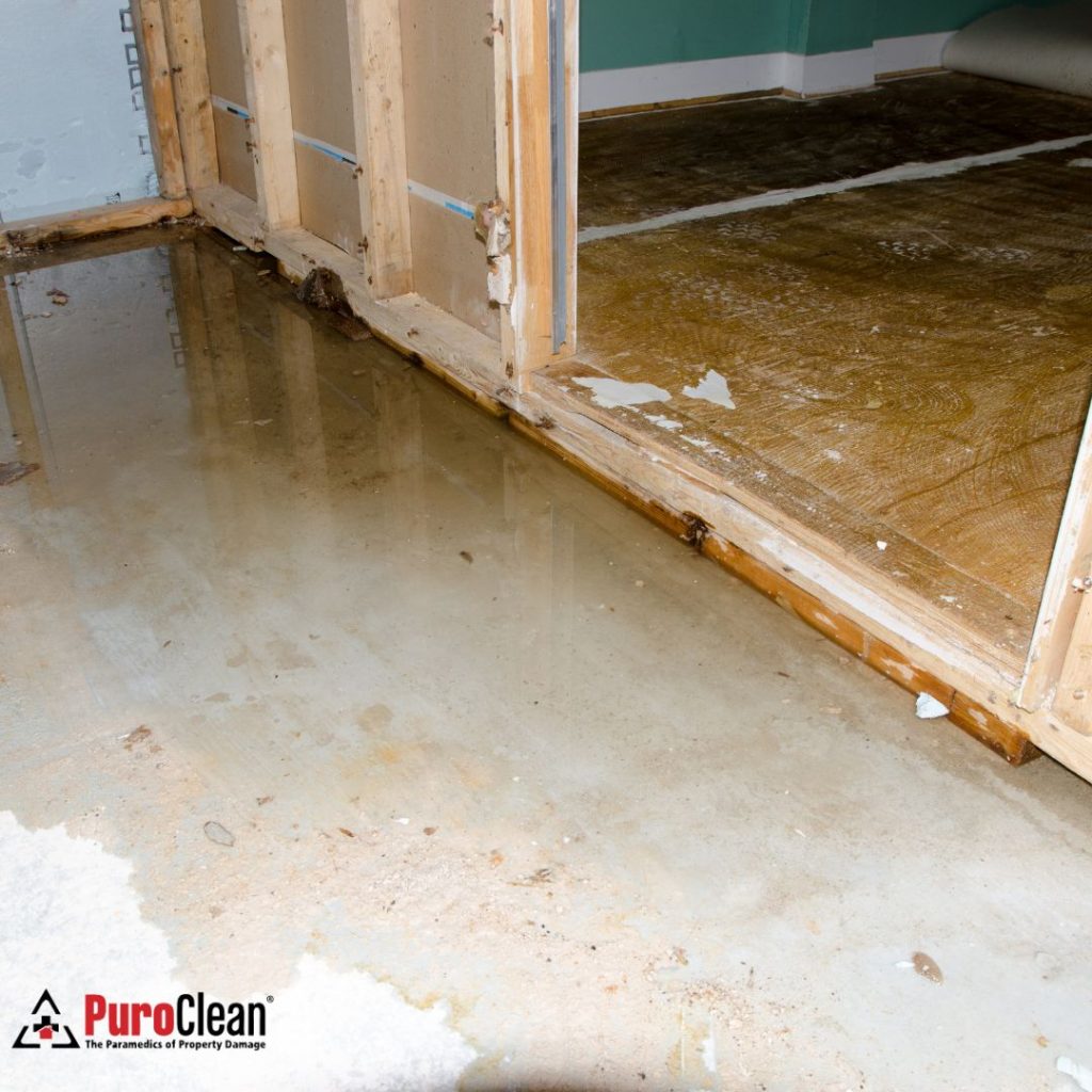 Basement Flood in Lawrenceville