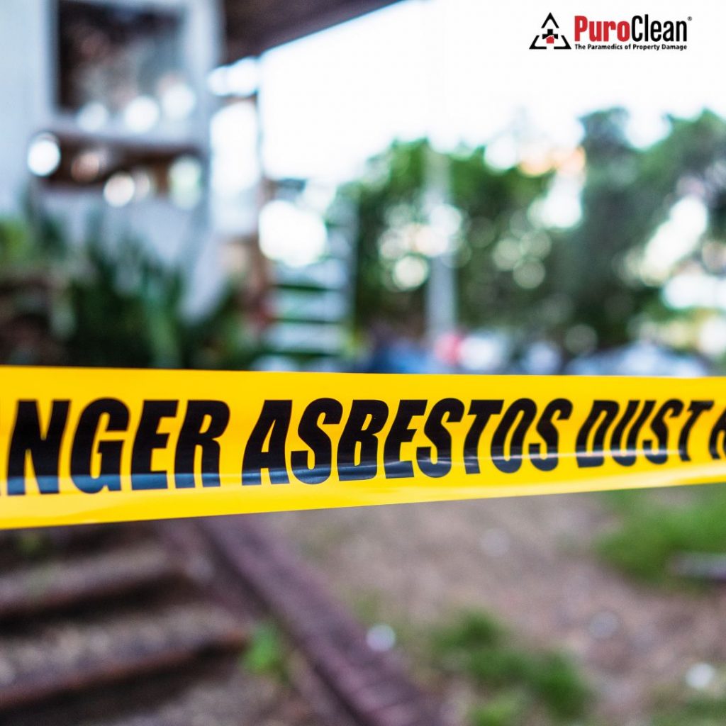 How Much Does Asbestos Removal Cost in 2025?, image size:1024x1024