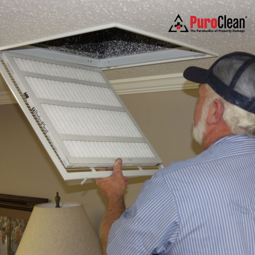 Dead Animal Smell in Your HVAC System