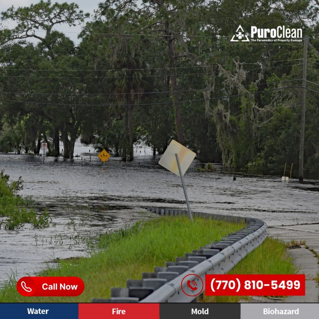 Hurricane and Fire Survival Guide: Protect Your Lawrenceville Home and Family